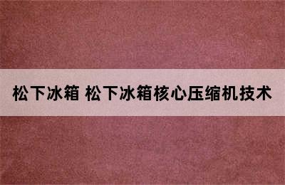 松下冰箱 松下冰箱核心压缩机技术